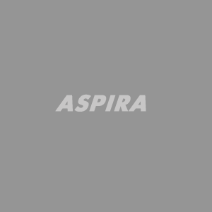 [ASPIRA] Fuel Filter Set